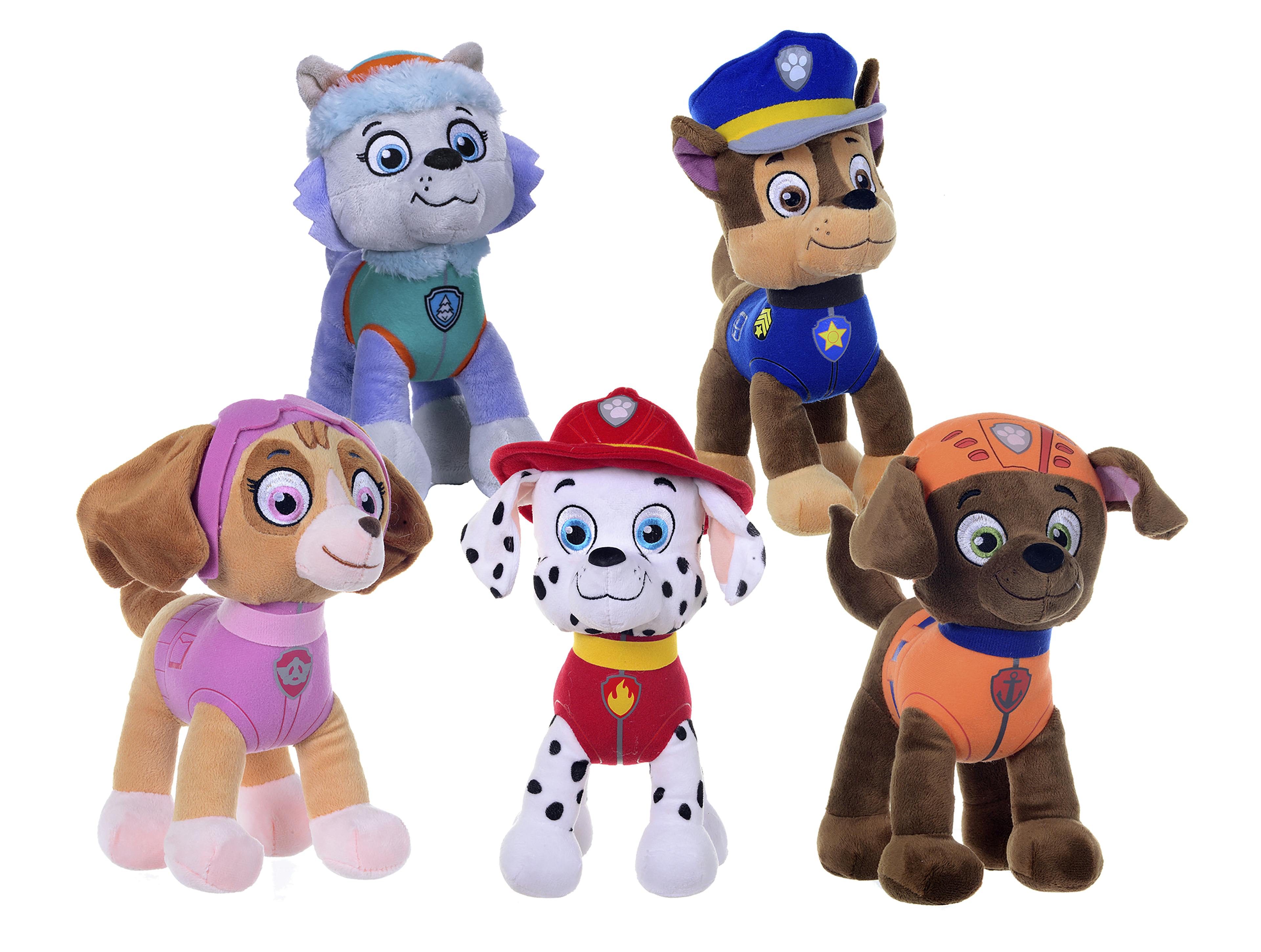 Product - Paw Patrol 5 Ass